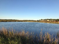 Inspecting dirty-water containment ponds like this one daily is going to be important as the spring thaw continues. (NDSU photo)