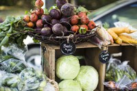 Farmers markets and local food vendors need to take necessary precautions and safety measures to ensure the health of farmers, vendors and customers. (Photo courtesy of North Dakota Department of Agriculture)