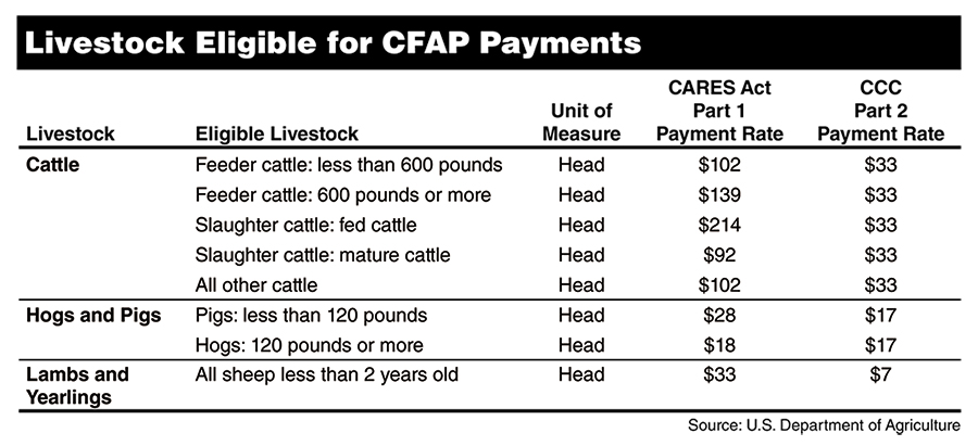 Livestock Eligible for CFAP Payments