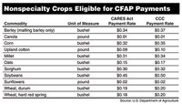 Nonspecialty Crops Eligible for CFAP Payments