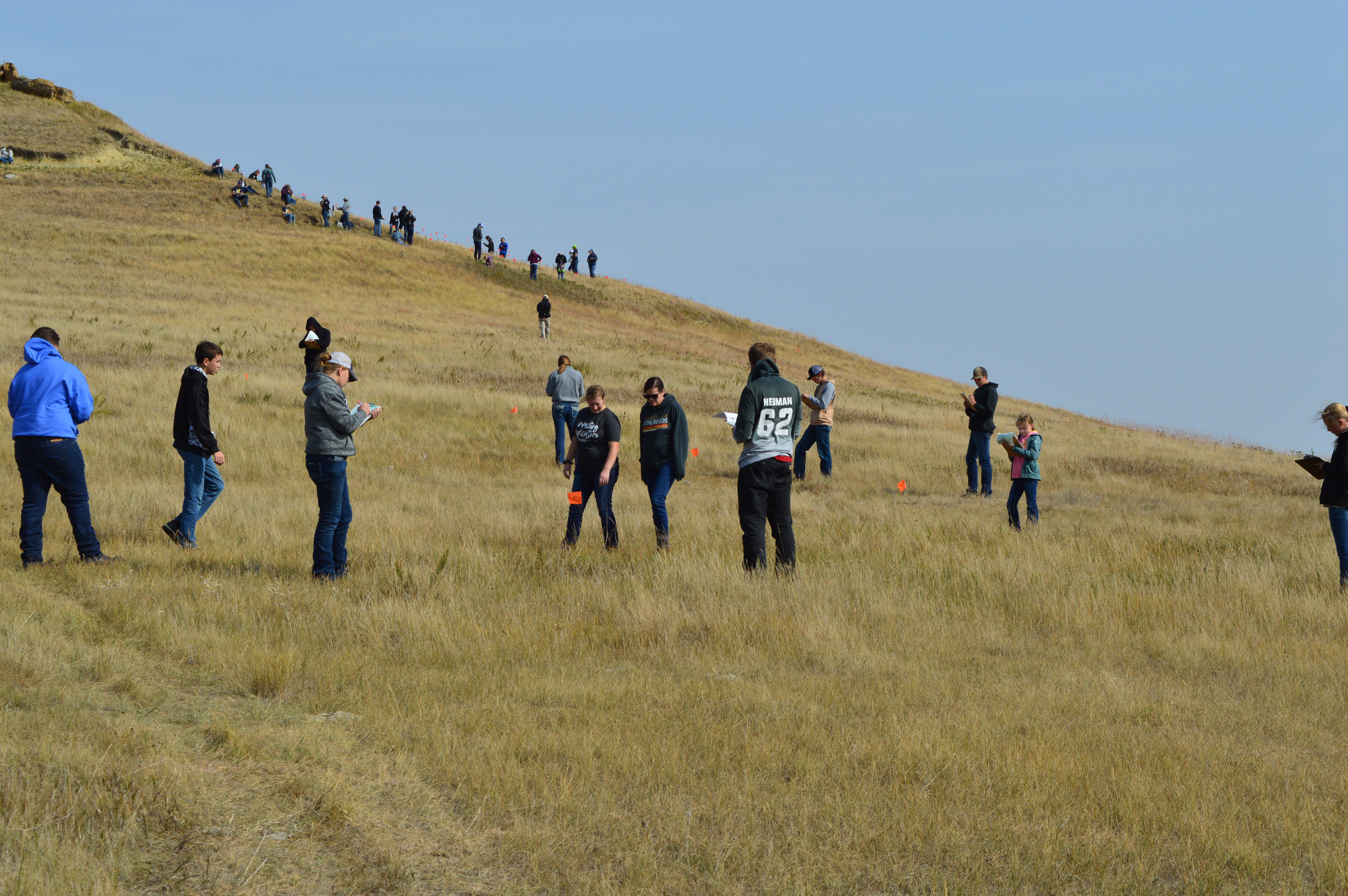 4-H'ers compete in the North Dakota 4-H and FFA range judging contest at Center. (NDSU photo)