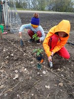 4-H'ers plant a garden as part of their effort to incorporate nutrition, fitness and health activities into their club meetings in 2019-2020. (NDSU photo)
