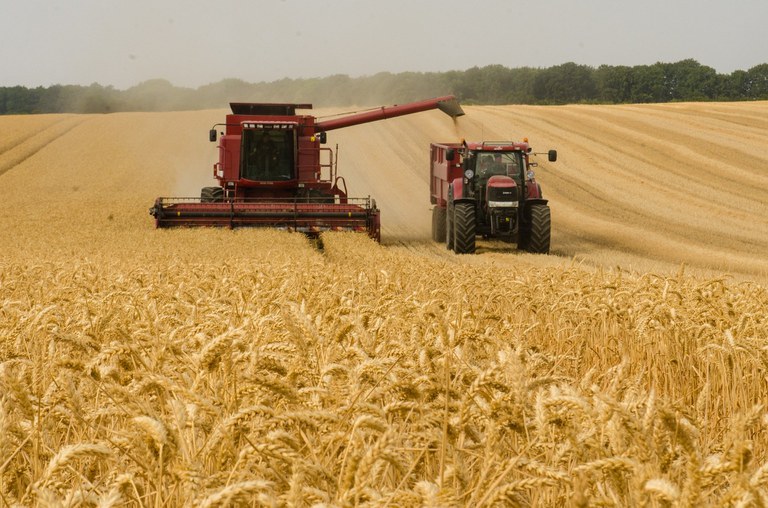 The late season operations survey is underway now and surveys fall work such as harvest rates, grain drying and hauling. (Pixabay photo)