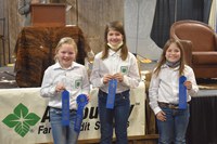 The Pierce County 4-H team took first place in the junior division of the Winter Show hippology contest. Pictured are, from left: Addi Mack, Elizabeth Hurly and Morgan Scherr. (NDSU photo)