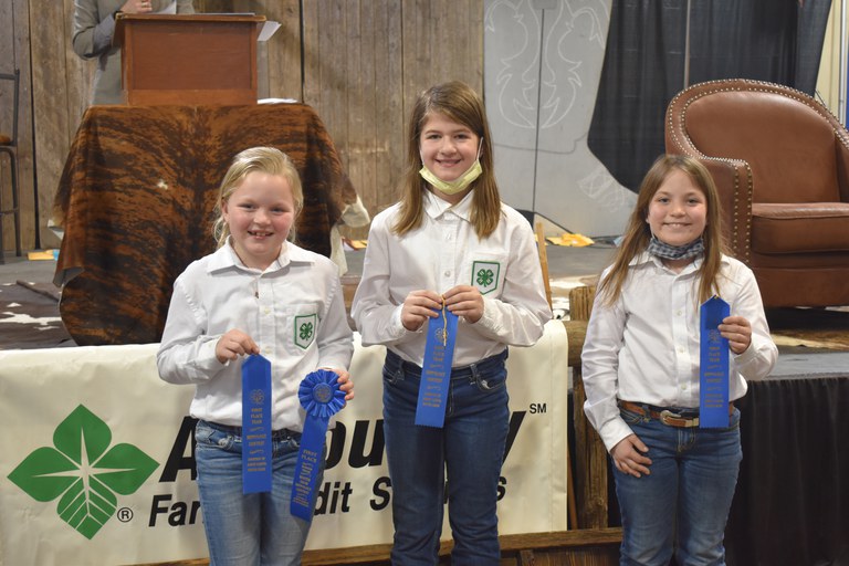 The Pierce County 4-H team took first place in the junior division of the Winter Show hippology contest. Pictured are, from left: Addi Mack, Elizabeth Hurly and Morgan Scherr. (NDSU photo)