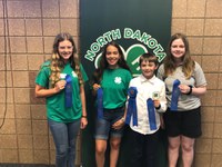 A Cass County team took first place in the junior division of the North Dakota 4-H consumer decision making contest. Pictured are, from left: McKenna Mohs of Horace, Grace Burchill of West Fargo, Ethan Richard of Casselton and Nora Severance of Hunter. (NDSU photo)