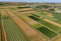 Results from agronomy research in the western Dakotas will be presented at the 38th annual Western Dakota Crops Day on Dec. 16.