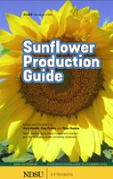 The updated "Sunflower Production Guide" includes information about hybrid selection and numerous other topics. (NDSU photo).