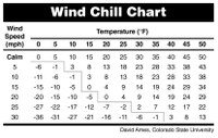 Cattle experience the effective temperature, which includes air temperature, humidity and wind chill.