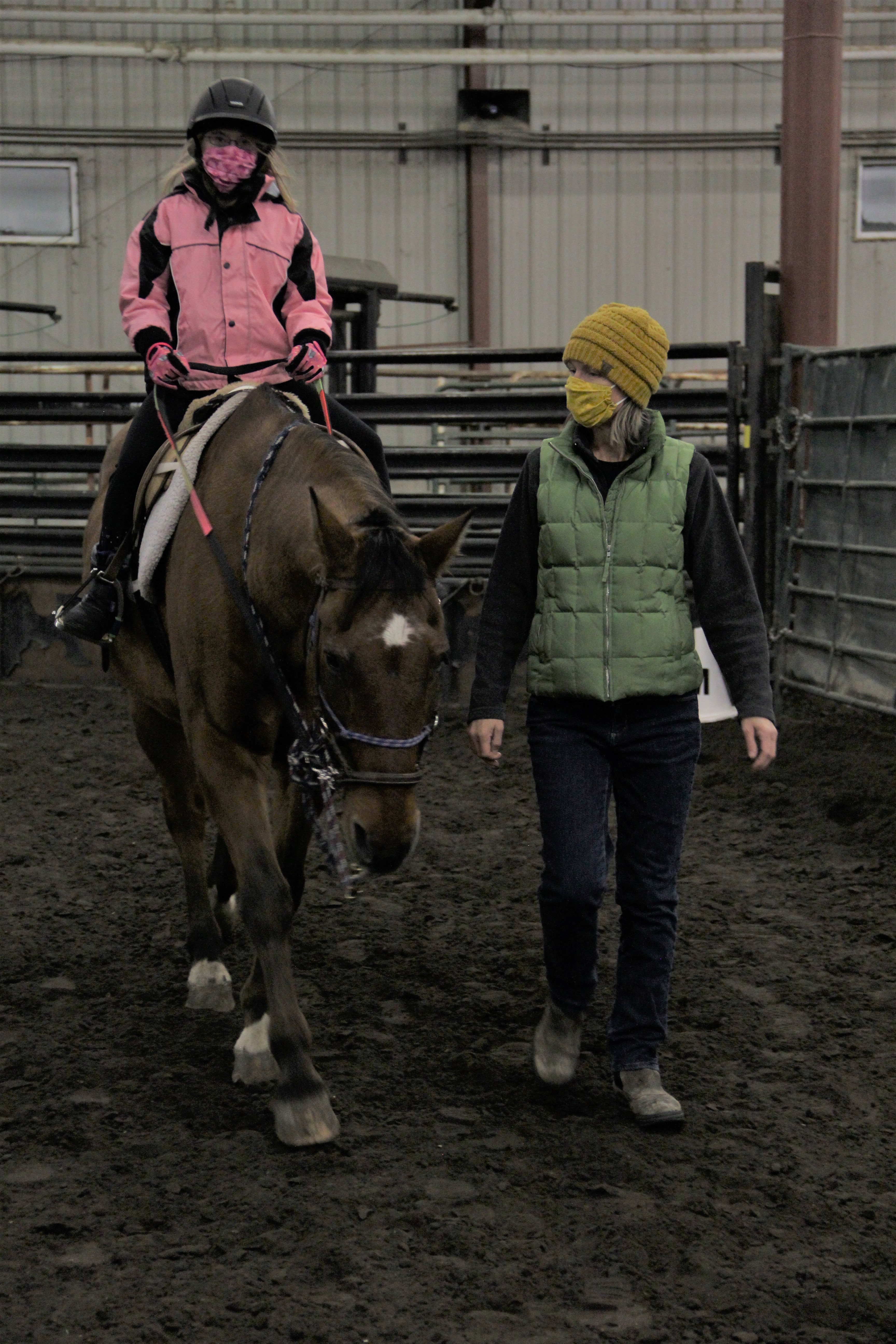 Bronco, the 2021 Professional Association of Therapeutic Horsemanship International (PATH Intl.) Region 6 Equine of the Year, is a valued member of NDSU's Bison Strides program. (NDSU photo)