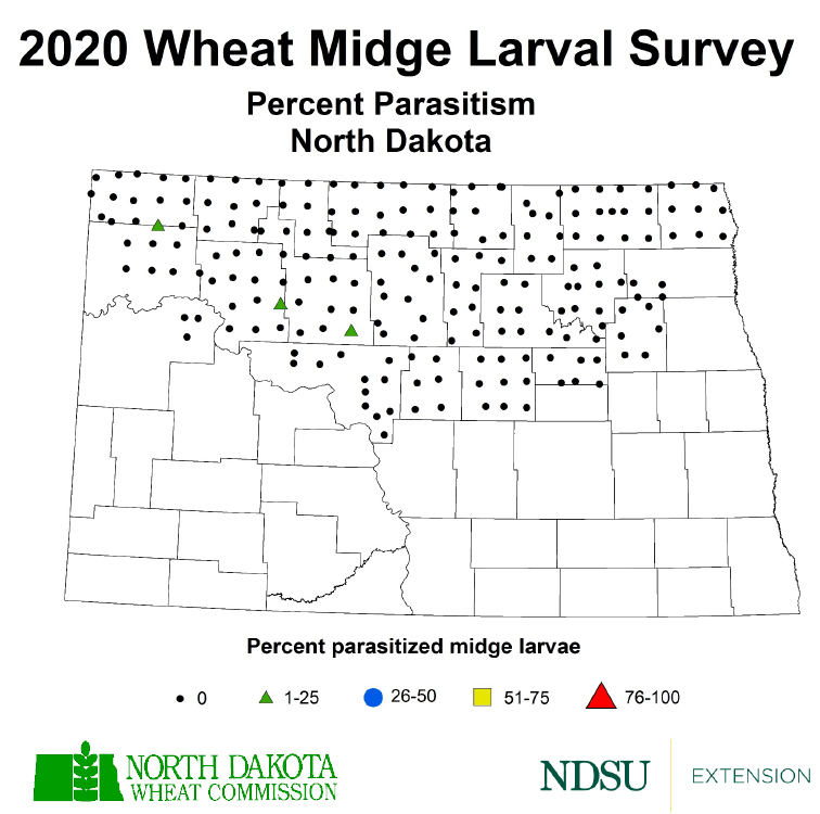 2020 Wheat Midge Percent Parasitism Map (NDSU Photo)