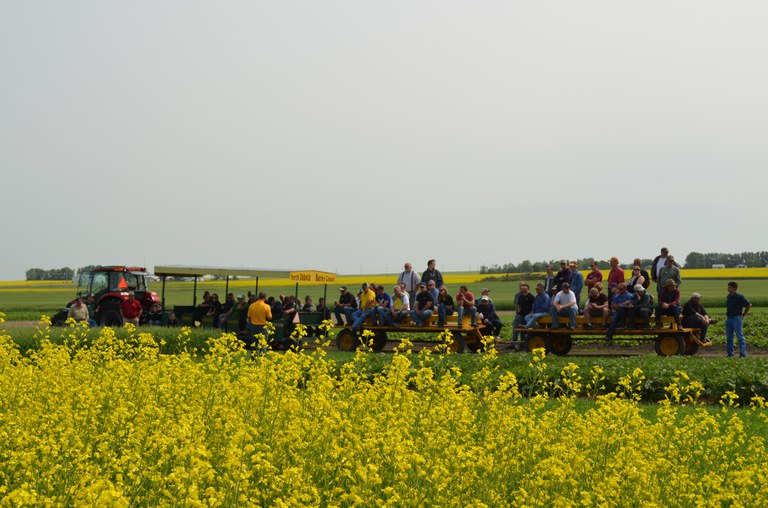 Visitors attend a field day at NDSU's Langdon Research Extension Center. (NDSU photo)