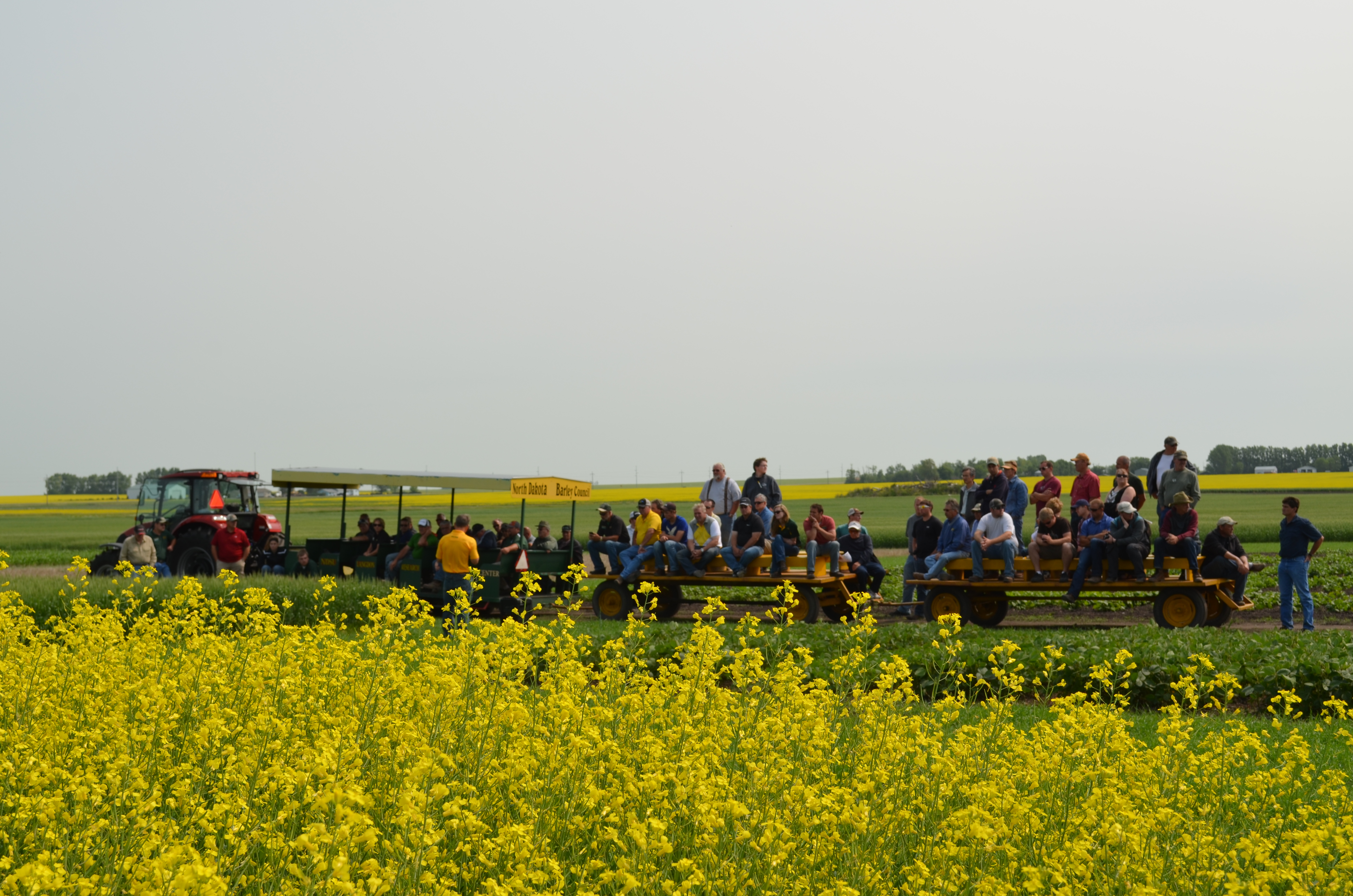 Visitors attend a field day at NDSU's Langdon Research Extension Center. (NDSU photo)