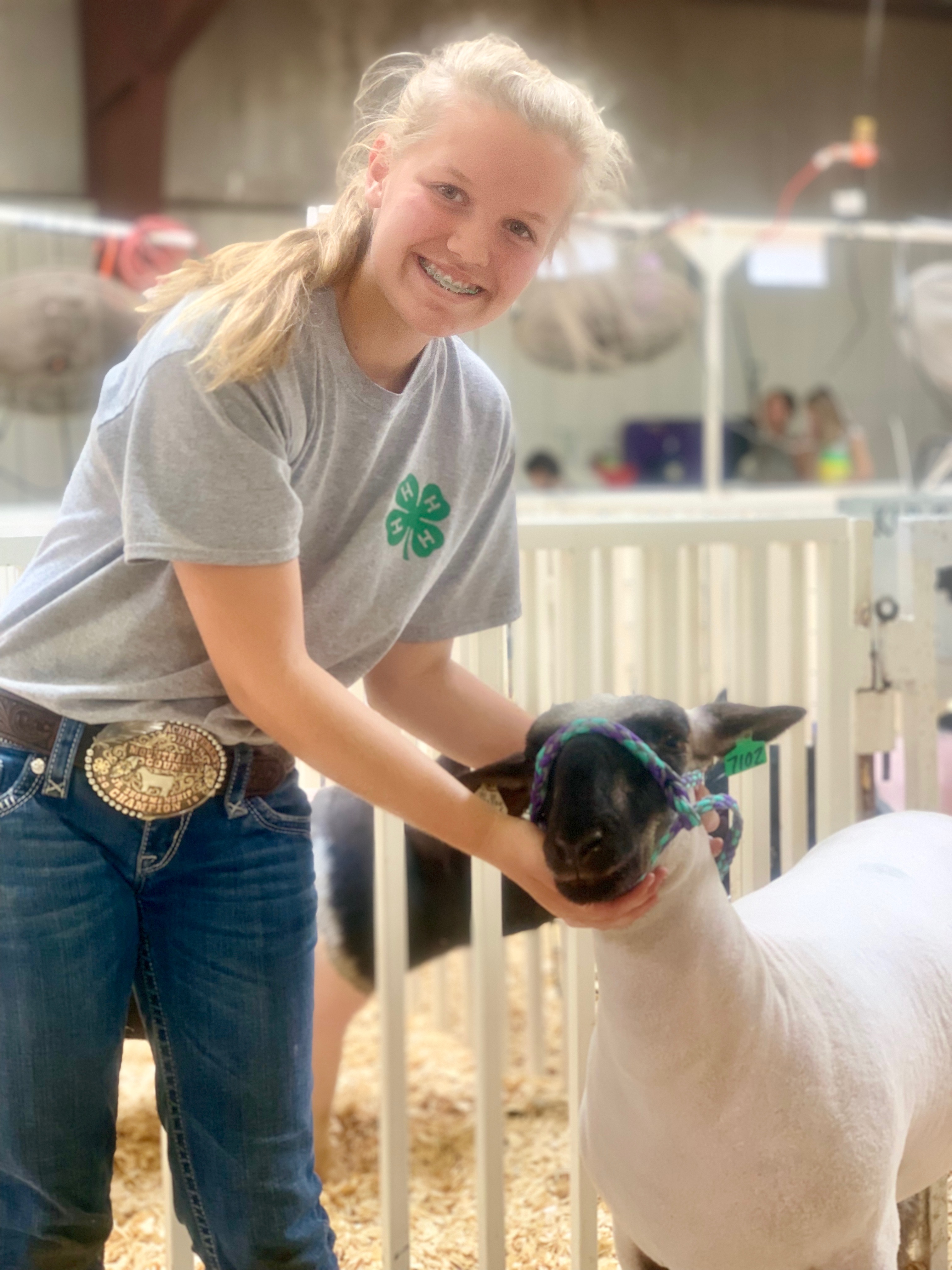 4-H'ers becoming champions or reserve champions in livestock showmanship at the North Dakota State Fair will teach state leaders about the finer points of livestock showmanship, then the leaders will take a stab at showmanship during the North Dakota Leaders 4-H Showmanship Contest on July 30. (NDSU photo)