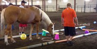 Students participate in an equine-assisted learning session at the NDSU Equine Center. (NDSU photo)