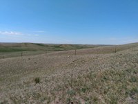 This Ward County pasture is in North Dakota's D4 (exceptional) drought area. (NDSU photo)