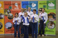 The Pierce County team takes first place in the junior division of the state horse judging contest. Pictured are, from left, front row: Morgan Scherr, Addi Mack and Elizabeth Hurly; back row: Jesse Wolf, Maggie Iverson and Kami Guty, (NDSU photo)