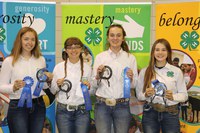 The Ward County team takes first place in the senior division of the quiz bowl competition. Pictured are, from left: Olivia Lebrun, Mikaela Woodruff, Anne Schauer and Emily Fannik. (NDSU photo)