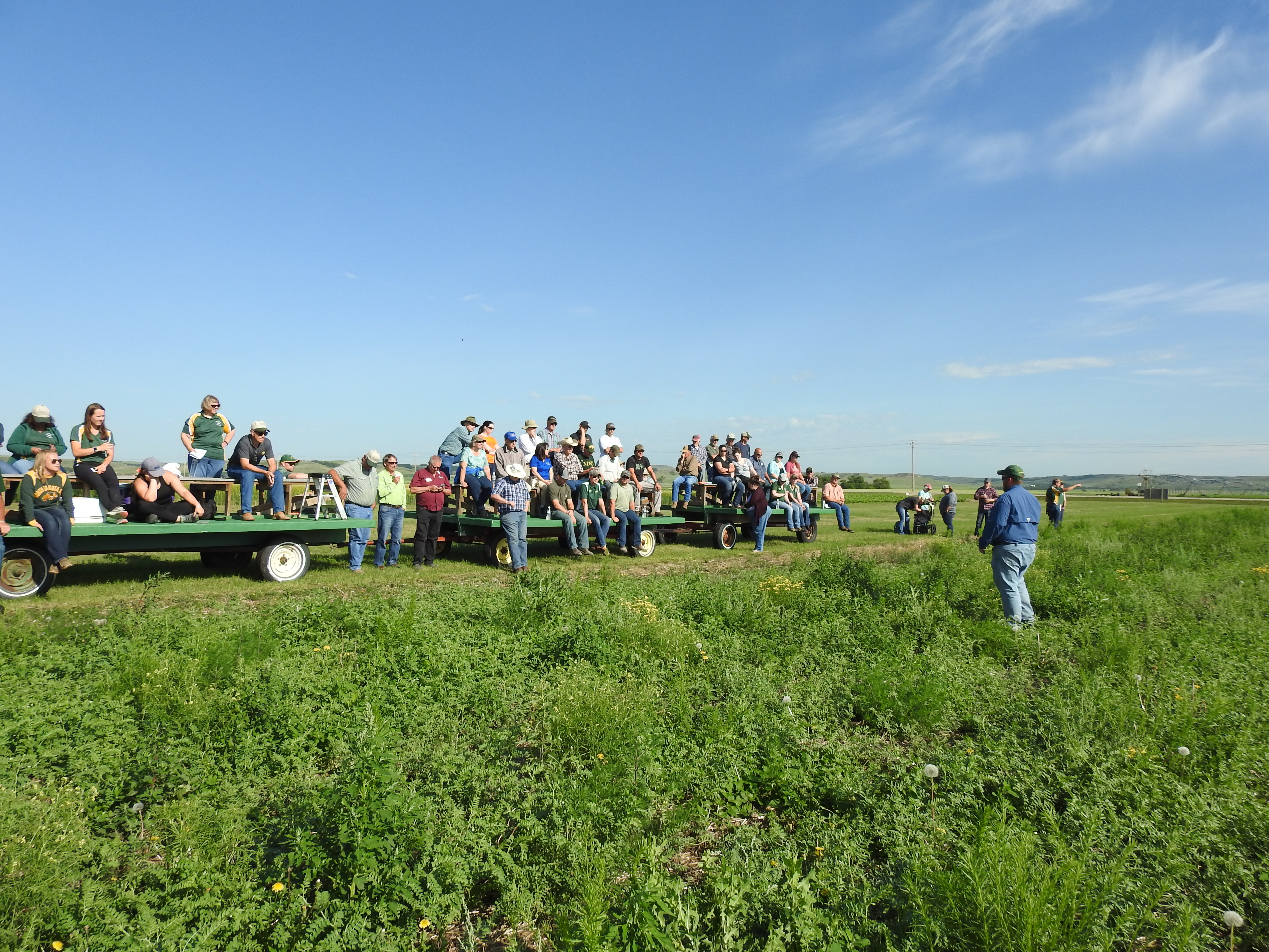 Producers and others attend a field day at NDSU's Williston Research Extension Center. (NDSU photo)
