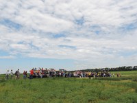 Producers and others attend a field day at NDSU's North Central Research Extension Center. (NDSU photo)