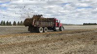 Manure is being spread at the NDSU Carrington Research Extension Center. (NDSU photo)
