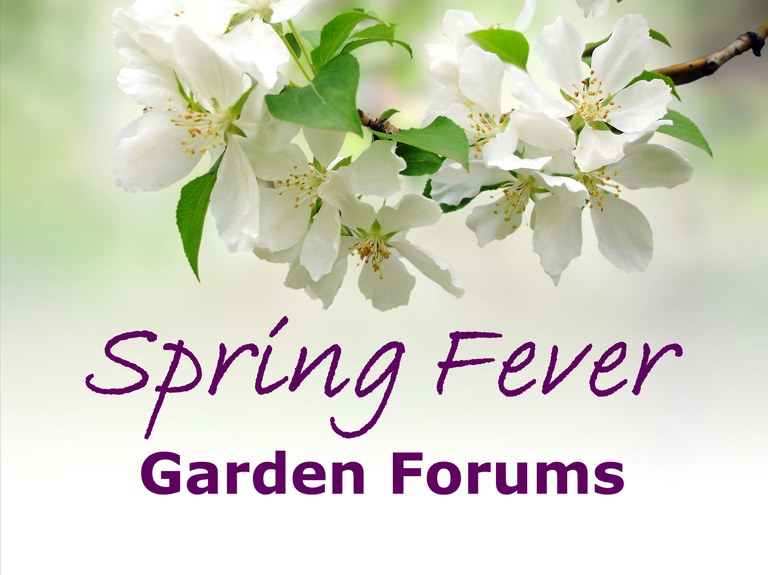 Spring Fever Garden Forums graphic identifier