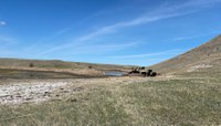 Drought creates many challenges for farms and ranches. (NDSU photo)