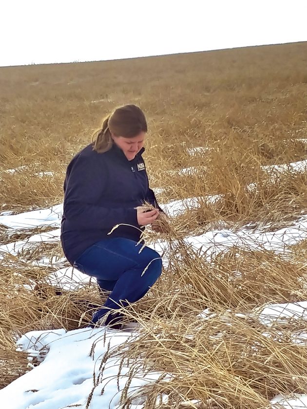 Paige Brummund, NDSU Extension - Ward County agent, was honored with a National Achievement Award, which recognized her outstanding educational efforts. (NDSU photo)