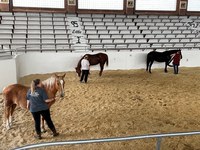 Attendees practice new skills with NDSU Bison Strides horses.