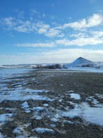 Cool spring temperatures and impacts of drought may cause a delay in turnout. (NDSU photo)