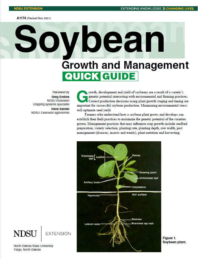 NDSU Extension’s Soybean Growth and Management Quick Guide offers pictures and descriptions of soybean growth stages.
