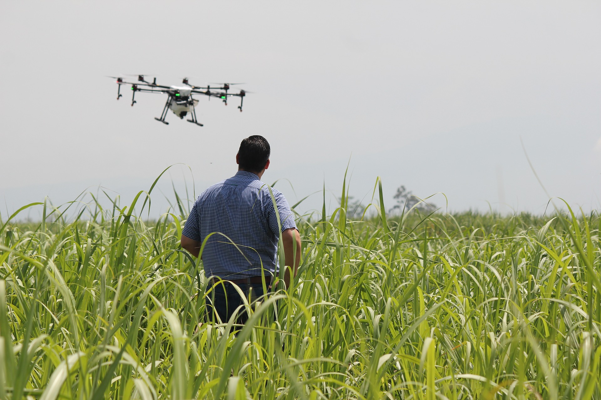 Farmers and ranchers are able to control access to their land, machinery and equipment, and other tangible assets, but the property rights of data are less clear. A group of researchers at NDSU is seeking to understand the viewpoints of those involved in collecting and using precision agriculture data. (Pixabay photo)