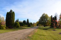 The purpose of the NDSU Arboretum is to evaluate, select, and introduce new trees and shrubs for the harsh northern climate and the variable soils of the Midwest. (NDSU photo)