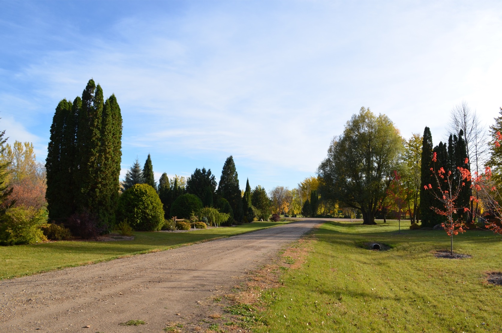 The purpose of the NDSU Arboretum is to evaluate, select, and introduce new trees and shrubs for the harsh northern climate and the variable soils of the Midwest. (NDSU photo)