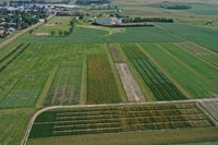 Regional agronomy research results, acid soil management, biological products and weed control options will be featured topics at the 39th annual Western Dakota Crops Day in Hettinger. (NDSU photo)