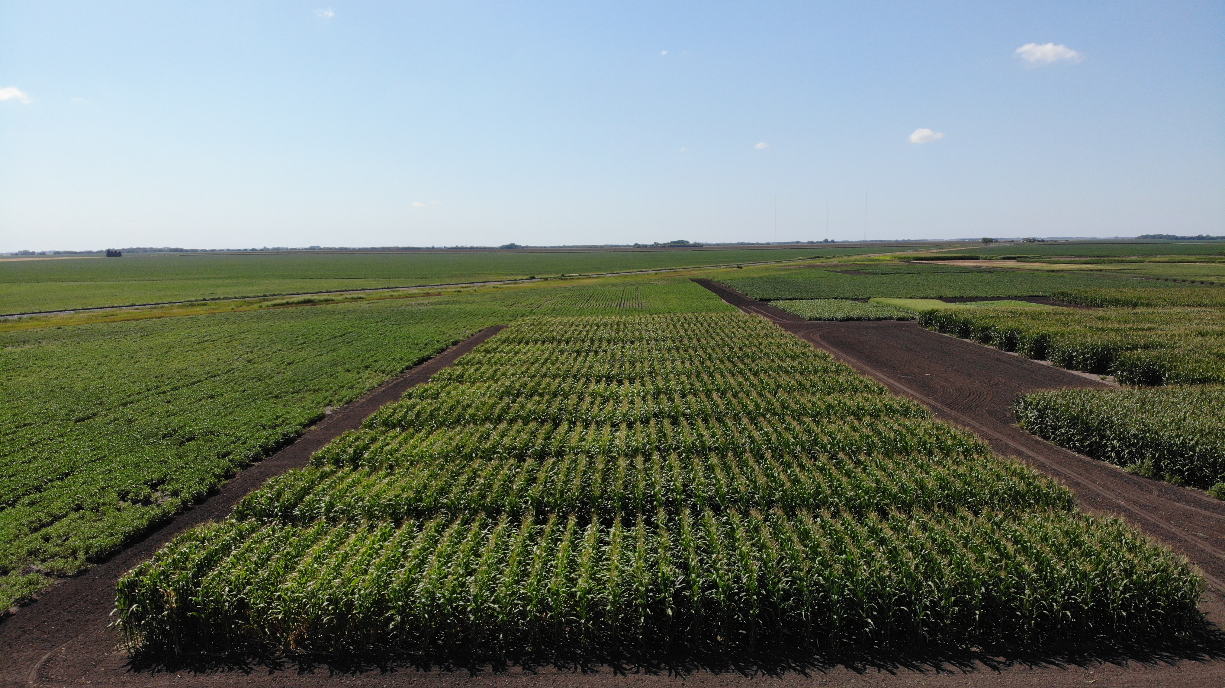 The corn hybrid guide is a good source of information for farmers and agronomists looking for data on hybrid performance in North Dakota. (NDSU photo)