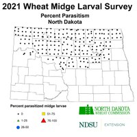 2021 Wheat Midge Larval Survey Map - Percent Parasitism (NDSU photo)