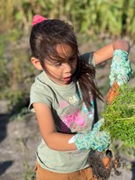 Gardening grants help youth organizations purchase gardening and educational supplies. (NDSU photo)