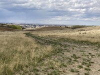The conference will include a general session focused on the challenges of reclamation during drought. (NDSU photo)
