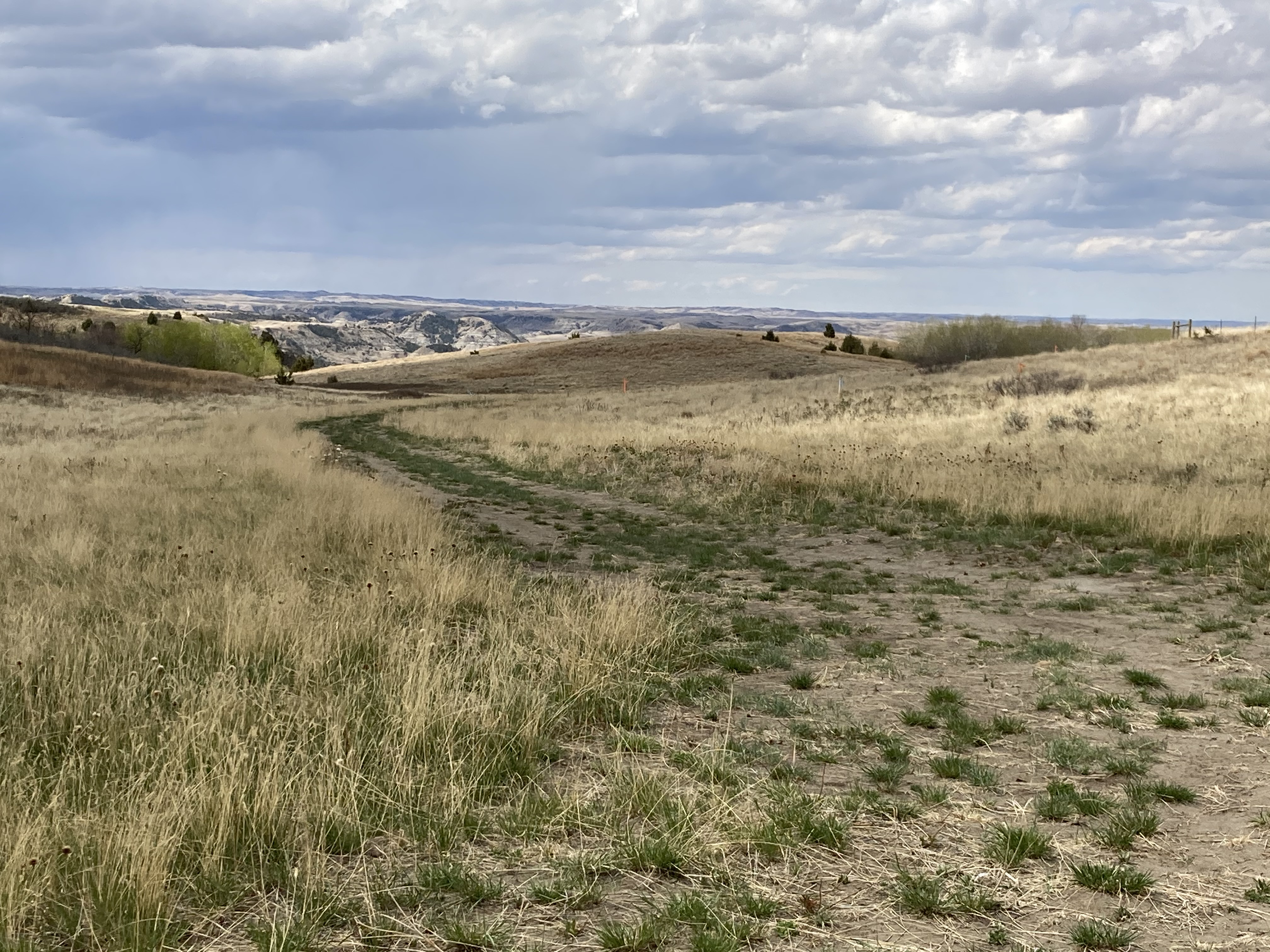 The conference will include a general session focused on the challenges of reclamation during drought. (NDSU photo)