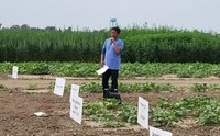 Charlemagne Lim has joined NDSU Extension as a weed specialist based at the Williston Research Extension Center.