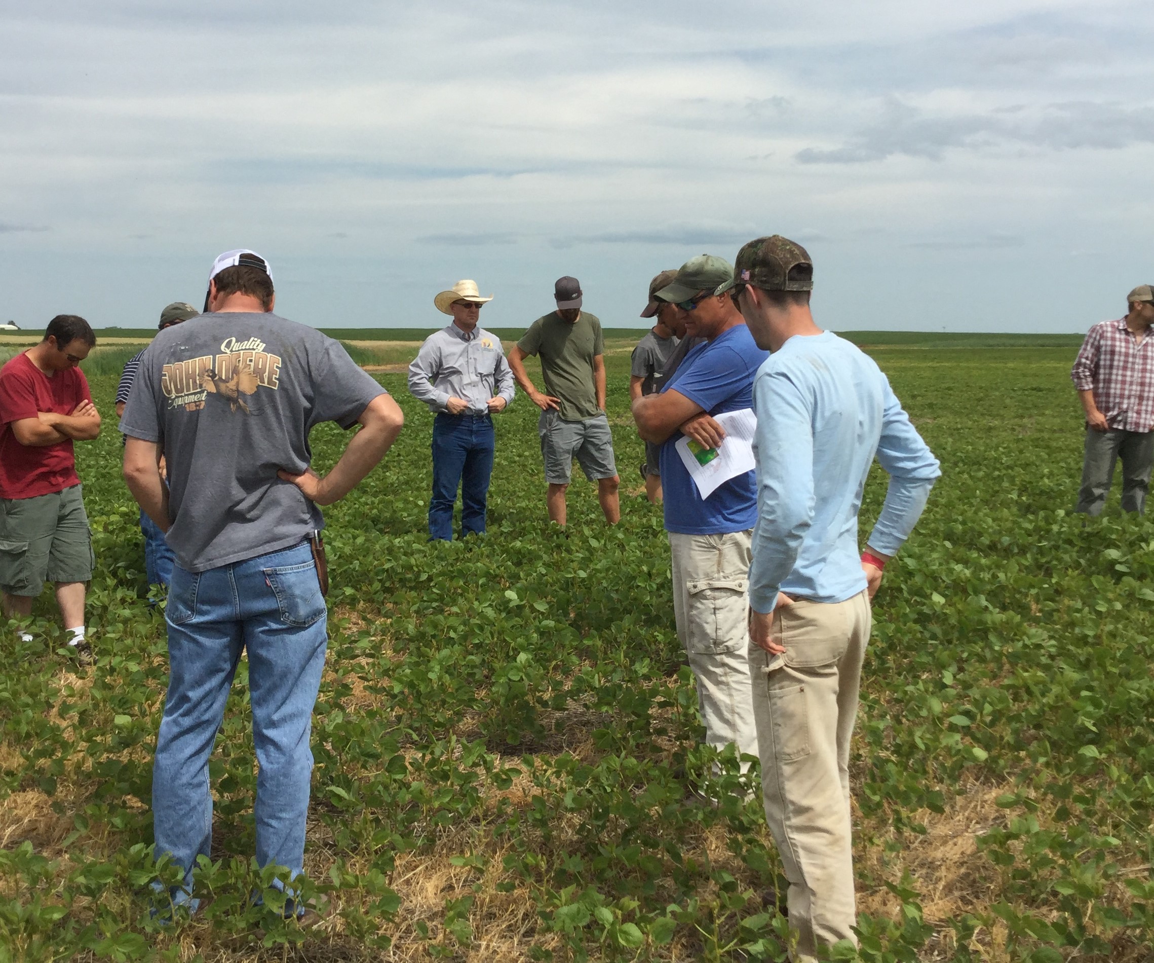 Tour speaker Nathan Neameyer will discuss practices he has adopted on his farm to improve soil health, including intercropping soybeans and canola, and planting soybeans green into rye. (NDSU photo)