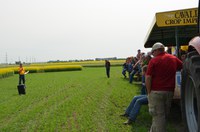 Crop breeding and marketing updates on hard red spring wheat, pulse crops, dry edible beans, barley and woody plants will be among the topics at the LREC annual field day on July 21. (NDSU photo)