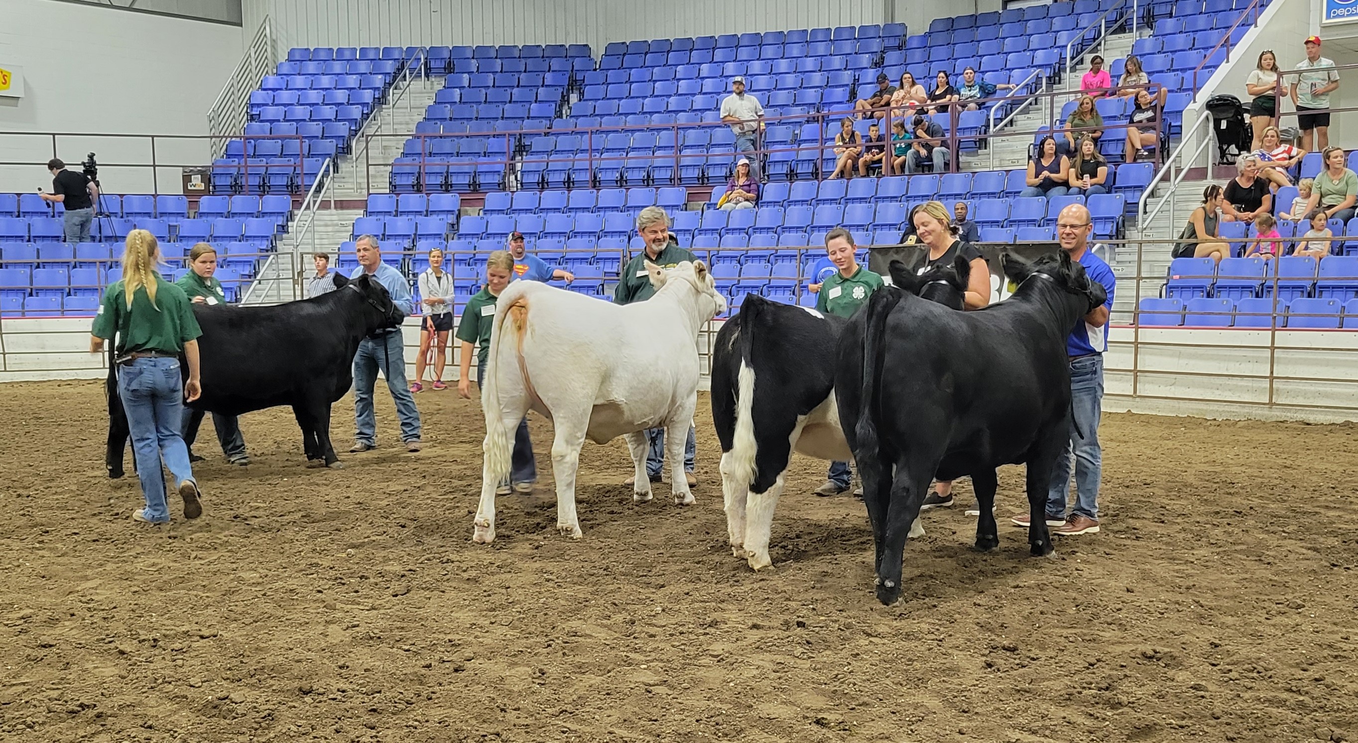 4-H’ers judge state leaders in the beef cattle competition during the North Dakota Leaders 4-H Showmanship Contest at the North Dakota State Fair in Minot. (NDSU photo)