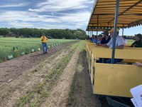 NDSU distinguished professor Elias Elias shares updates at Durum Day at the Carrington Research Extension Center. (NDSU photo)