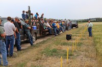 Andrew Green, NDSU wheat breeder, showcases varieties at a past HREC field tour. (NDSU photo)