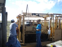 Youth learn about management practices during an NDSU Junior Beef Producers Workshop. (NDSU photo)