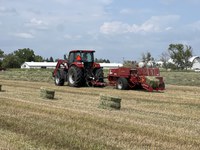 If hay remains wet for a period of time, or if moisture content is not down to the proper level prior to baling, heat damage can occur. (NDSU photo)