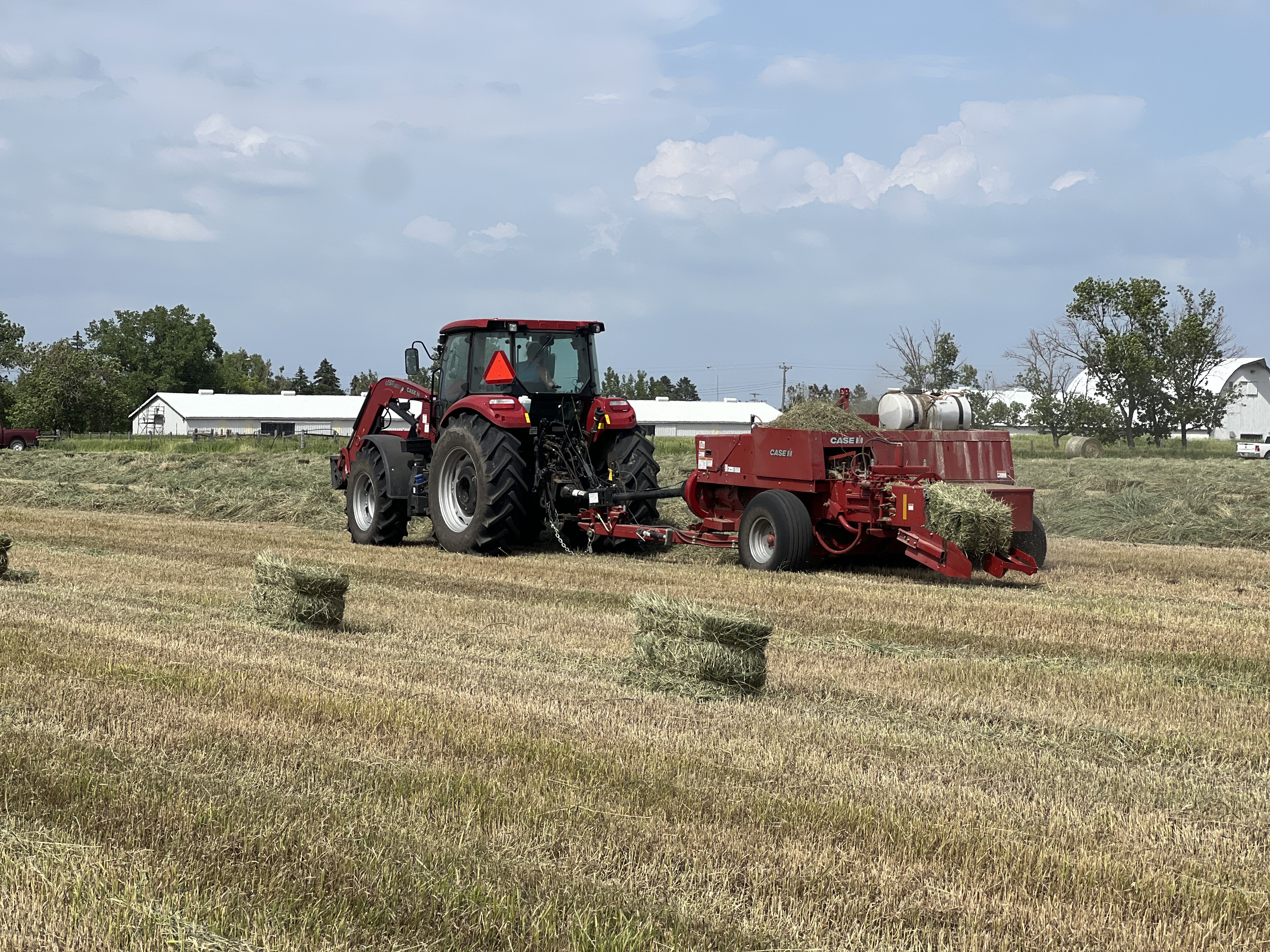 If hay remains wet for a period of time, or if moisture content is not down to the proper level prior to baling, heat damage can occur. (NDSU photo)