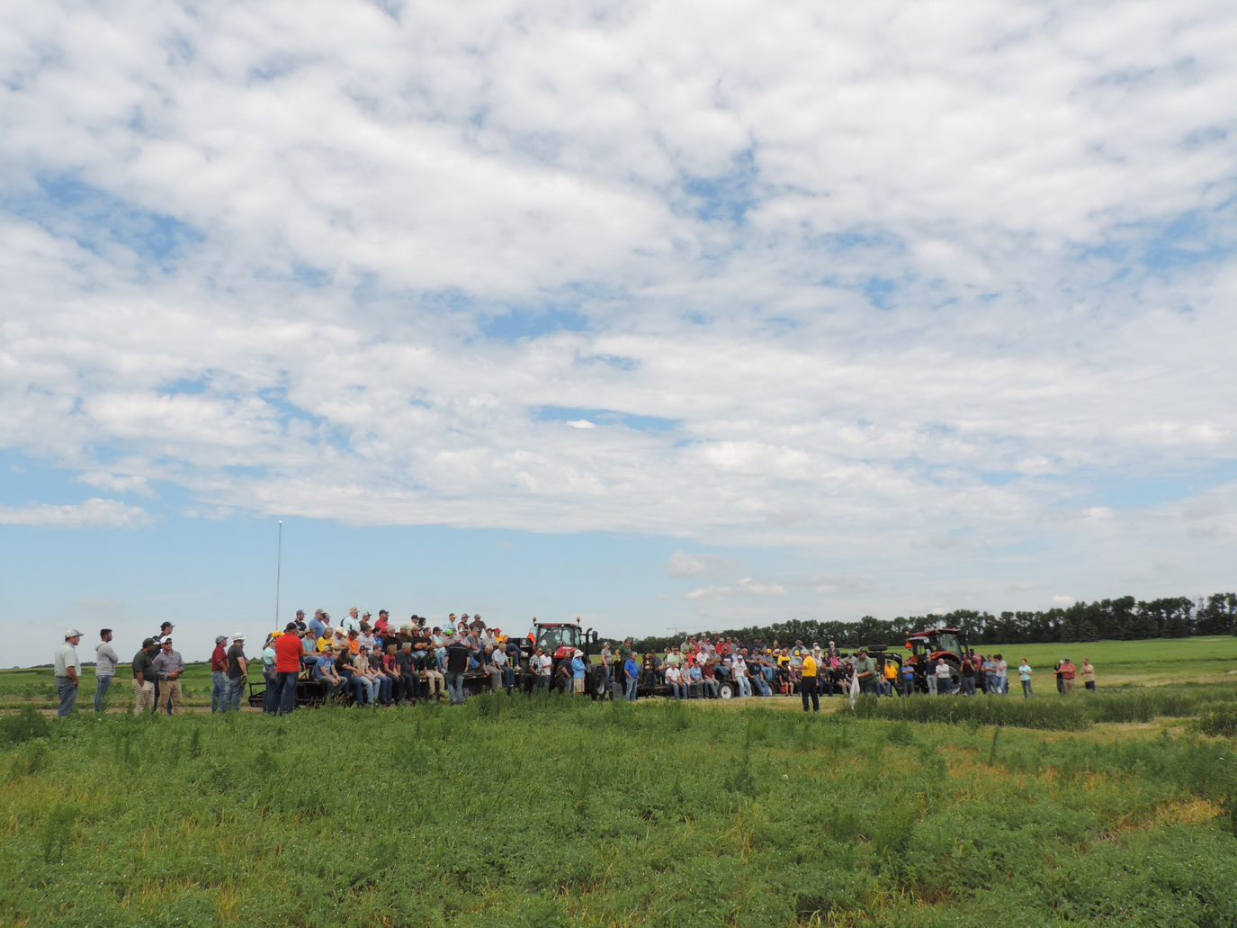 Farmers, ranchers and others take a tour during a field day at the NDSU North Central Research Extension Center. (NDSU photo)